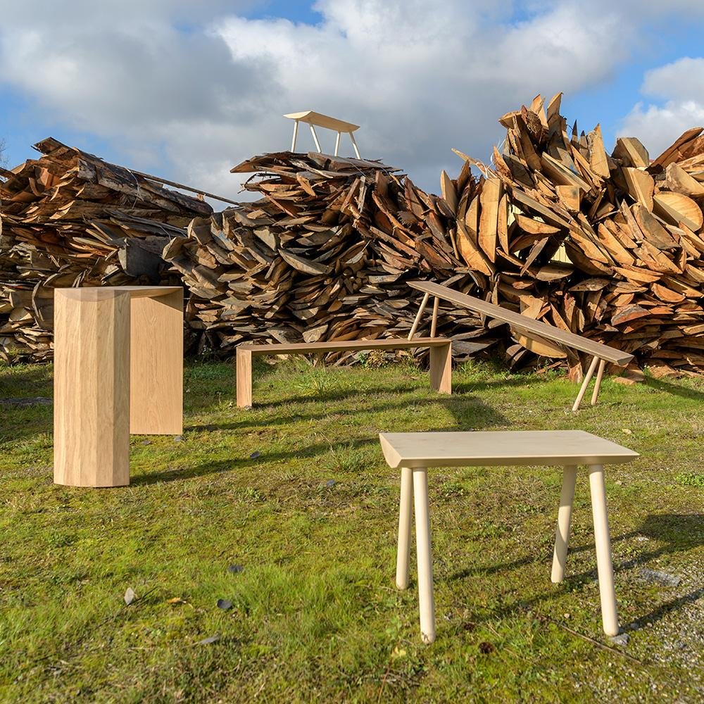  NEUE DENDRO KOLLEKTION 100 % UMWELTVERANTWORTLICH